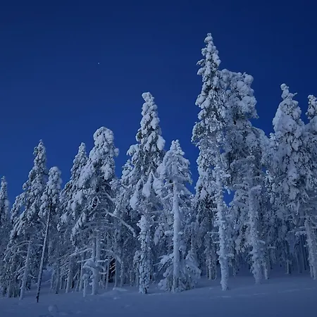 Skyview Igloo Villa *