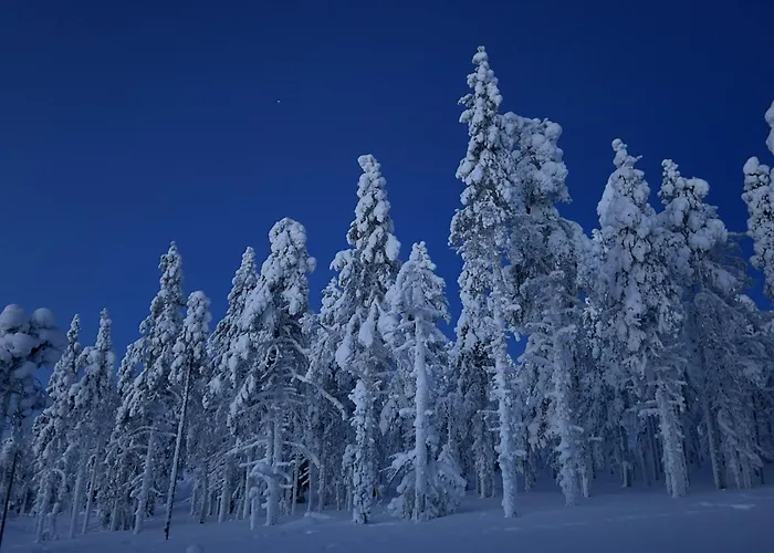 Skyview Igloo Villa *