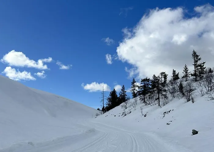 Villa Skyview Igloo *